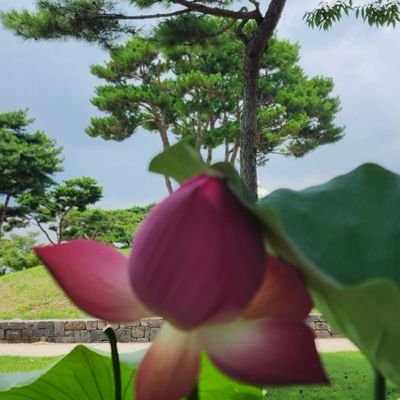 alijeuwel's profile picture. 