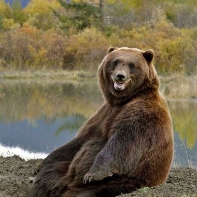 PrasadAjitha's profile picture. One must imagine sisyhpus happy | my opinions are the absolute truth