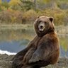 PrasadAjitha's profile picture. One must imagine sisyhpus happy | my opinions are the absolute truth