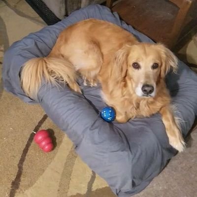 judgmentcenter's profile picture. Retired at 55. I am now over 60,
PRIOR: Software Engineer 31+ years,  Air Force Reserve Officer (learned to fly), 1st Job: Federal Law Enforcement Officer.