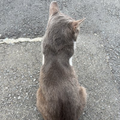 ジャムバターお爺さんさんのプロフィール画像