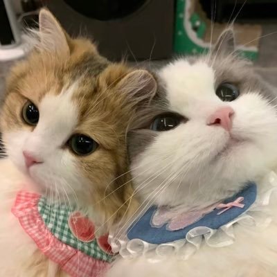 kkxx2049407's profile picture. ❤️@yeye_581