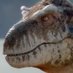 Joseph Attard Profile picture