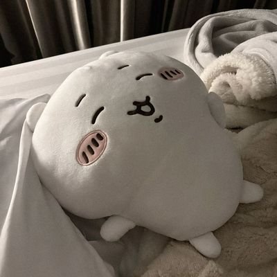 just_s0p4's profile picture. 