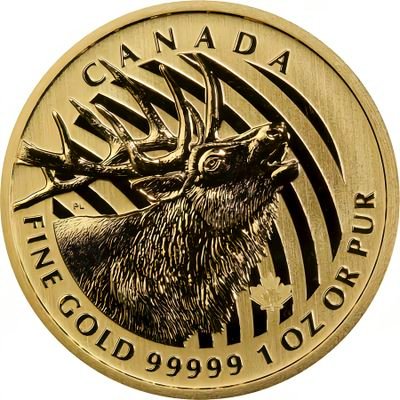 AurewavePerpet's profile picture. BNB HOLDER