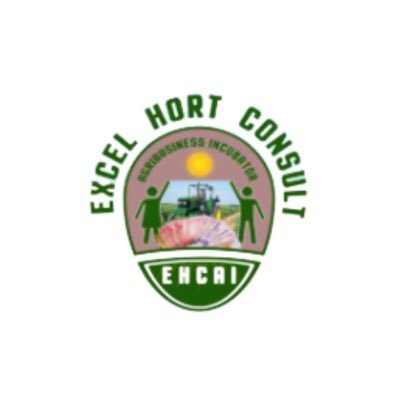 ehconsult's profile picture. Excel Hort Consult Agribusiness Incubator (EHCAI) is a business incubation and innovation centre located in Mbarara in South Western Uganda