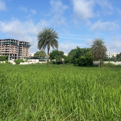 VR2202's profile picture. 