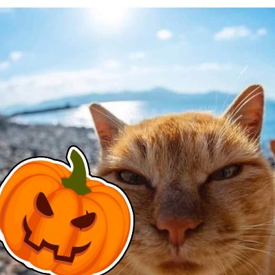 Taktfuld's profile picture. Roblox Developer | Game Designer | Scripter