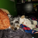 Charlie Springs - @SpringsCha3007 - Twitter