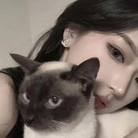 三点写真 (@sandianxiezhen) 's Twitter Profile Photo