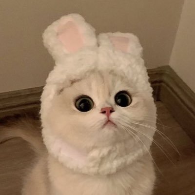 cheeeeppooo's profile picture. 𖤐