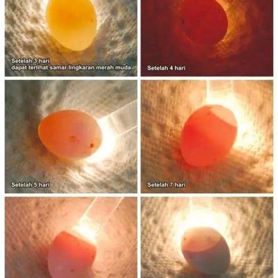 roriroro4858488's profile picture. 