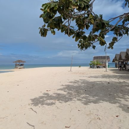 2028w335656's profile picture. 2028W　のんびり小4娘
ダラダラしたい共働き母