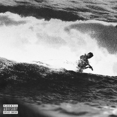 greysilkcurtain's profile picture. 