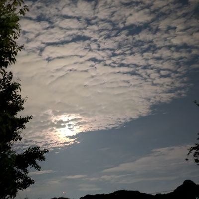 05248810hy's profile picture. 