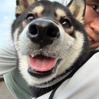 Krmさんのプロフィール画像