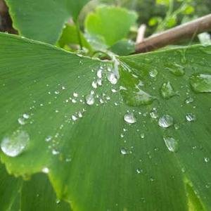 HaldemanM50040's profile picture. 