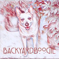 BackyardBoogie (@backyardboogie9) 's Twitter Profile