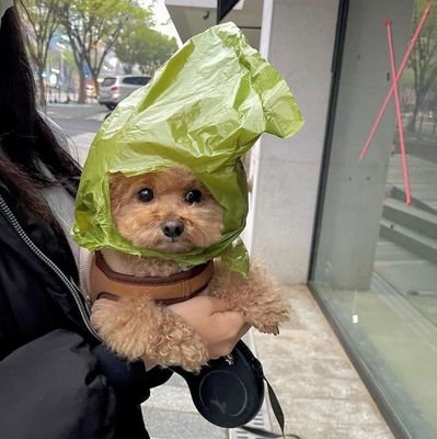 chaelxx_'s profile picture. ☁️ @chelka_0o