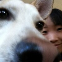 Chie Sakakibara (@depochie) 's Twitter Profile