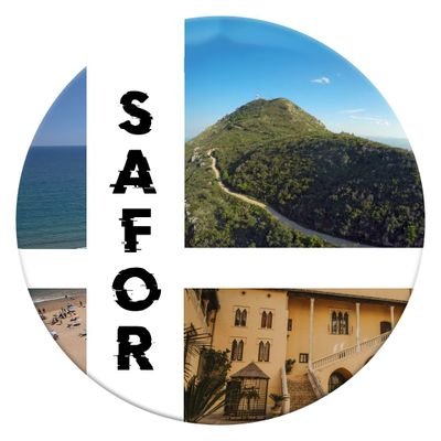 SmashSafor's profile picture. Si no podemos ir, les haremos venir...