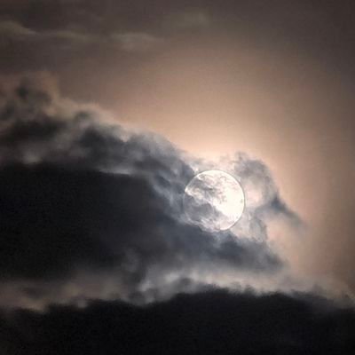 OdiSex98058's profile picture. Single