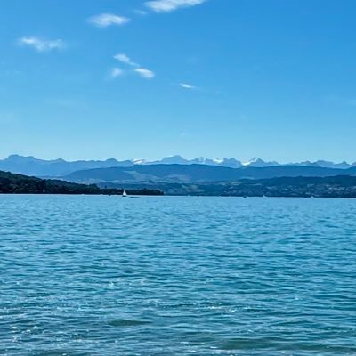 nthe3arl's profile picture. 