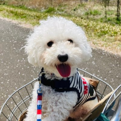yakan2404's profile picture. DATA Saberで学んだことを共有していきます/ #DATASaber 挑戦します！#Tableau