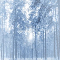 2CPV0HO7mx41463's profile picture. 内向的という性格で知られています。絵画、ダンス、版画を楽しみながら、環境保護活動に参加頑張っています。