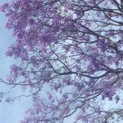 JessicaRomRom's profile picture. 📴