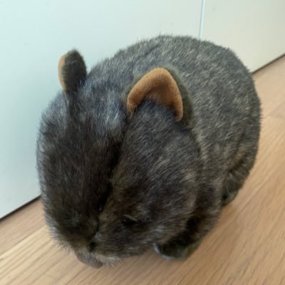 I2kmSiiRElJhZ6k's profile picture. 数年後、後悔するアカウント