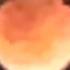 userhasretired's profile picture. 🤍