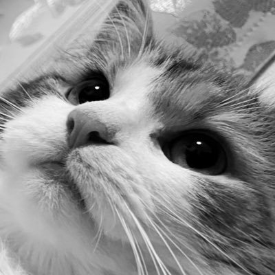 XK266ZX's profile picture. 80年代。東映。特撮。オカルト。アニメ。漫画。ゲーム。Metal。Rock。Punk。楽器。ミニチュア。ラクガキ。