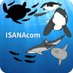 ISANAcom (@isanacom_jp) Twitter profile photo