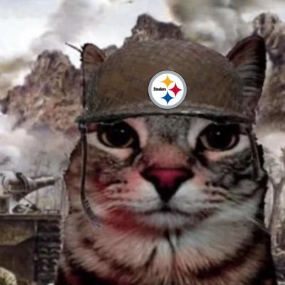 Calamity412's profile picture. warlord + truther + invisigal stan