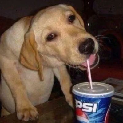 Soojins_lover's profile picture. 
