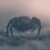 Martin K. B. (@th3fiddleback) 's Twitter Profile