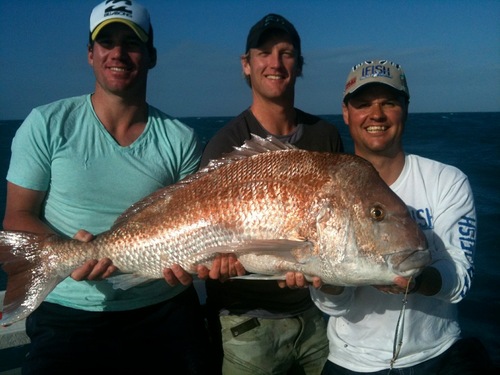 VicFishing's profile picture. Victoria's Premier Fishing store & one of the biggest in the country. Our staff are passionate fisho's with a vast knowledge on Australian Fishing & products.