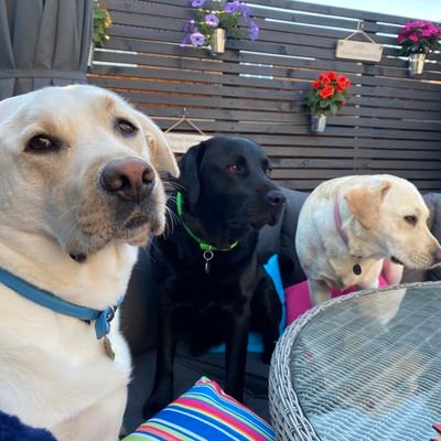 Harrybutler0's profile picture. Happiness is homemade and I’m the recipe 🥰 Grateful heart, peaceful mind, happy soul 🌸