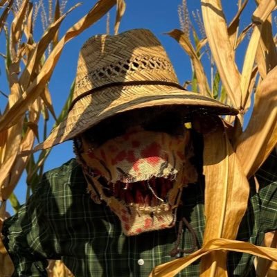 Chris_246onall's profile picture. #freepalestine Small streamer