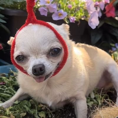 arisbet_ru9722's profile picture. 