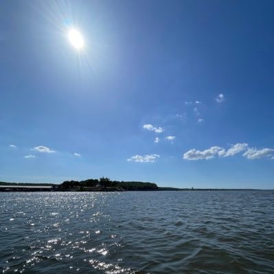 d71583's profile picture. 