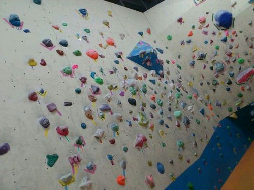 hpnotiq55's profile picture. 大阪市旭区在住！音楽大好きな男です！よろしく！ はやくフットサルしたいでげす！