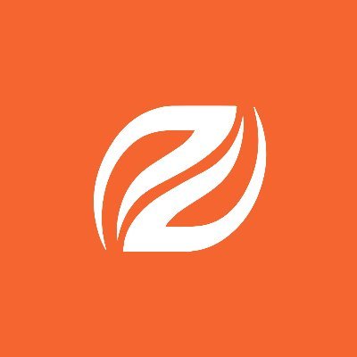 ZongoHosting's profile picture. Take Your Business to the Next Level with Zongo Hosting.