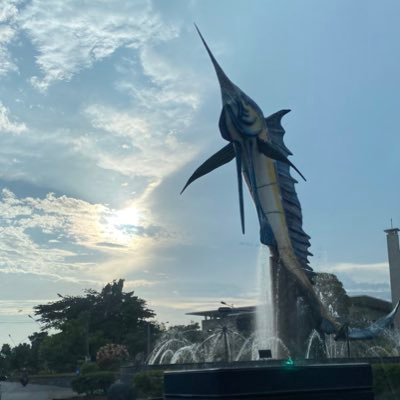 stephaniem58152's profile picture. crypto