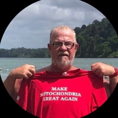 I am a neurosurgeon on a mission to create health from disease by decentralized thinking & BTC| Bitcoin pleb decade club is exile