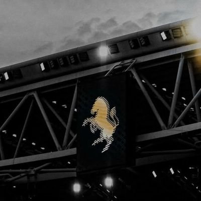 MerouaneZe83175's profile picture. 