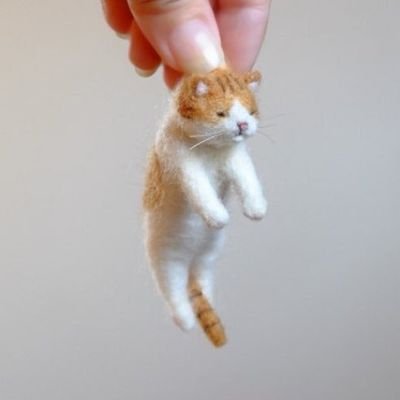 didudidumb's profile picture. SSRG player • in-game : danzamy • ID