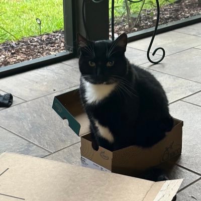 MattyB903's profile picture. They/Them