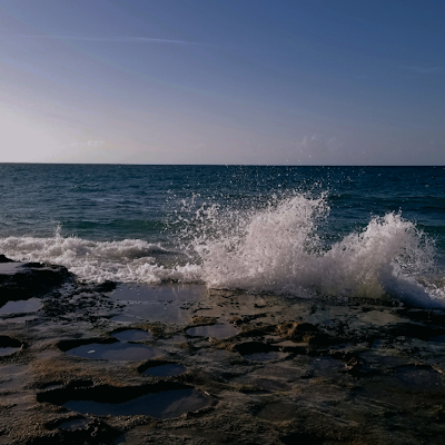 zayana_khalifa's profile picture. 